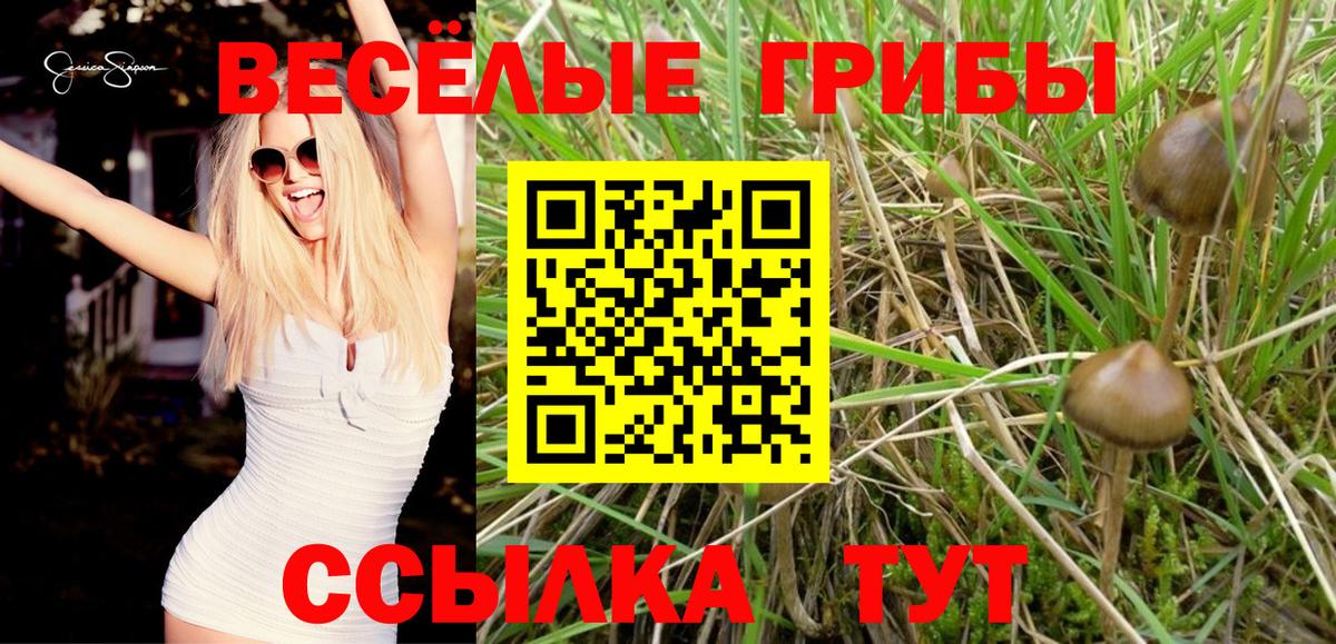 Нижневартовск  Галлюциногенные грибы Cubensis  Вход с VPN  Галлюциногенные грибы Psilocybine cubensis 